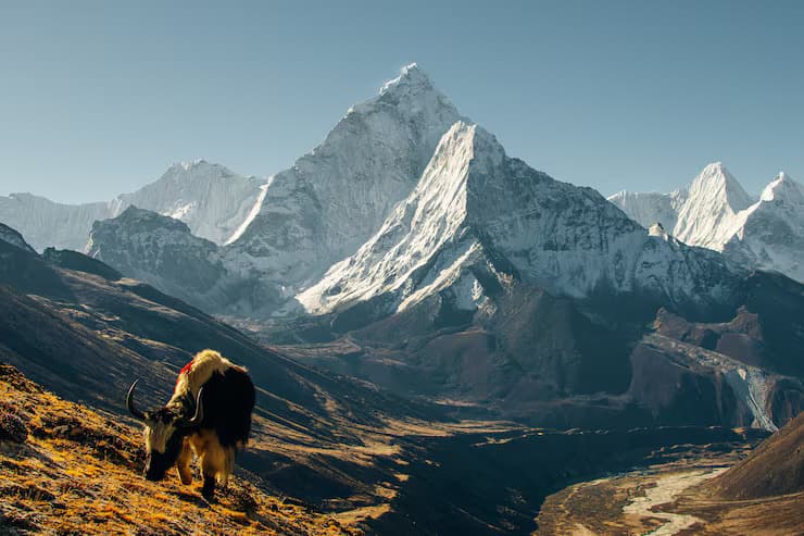 The Annapurna Region